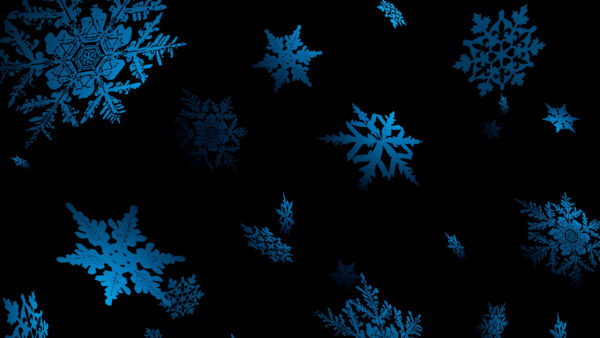 Wallpaper Blue, Background, Desktop, Snowflake, Black