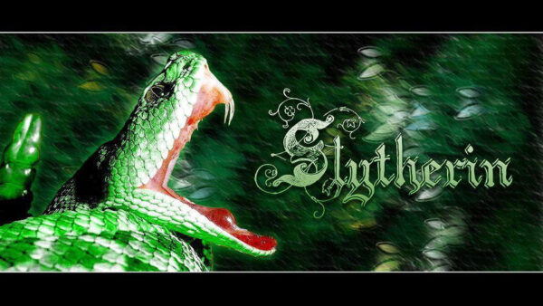 Wallpaper Slytherin, Open, Mouth, Green, Snake, With, Desktop