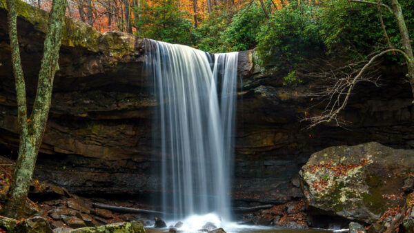 Wallpaper Waterfalls, Forest, Nature