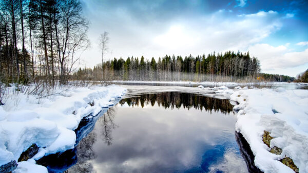 Wallpaper Desktop, With, Stones, Covered, River, Nature, And, Snow, Trees