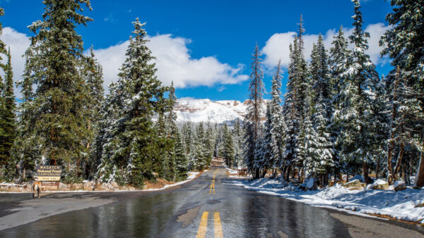 Wallpaper Sky, Under, Desktop, Covered, White, Mobile, Mountains, Between, Clouds, Blue, Nature, Snow, Trees, And, Road