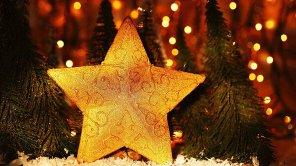 Wallpaper Star, Christmas, Background, Golden, Trees, Desktop