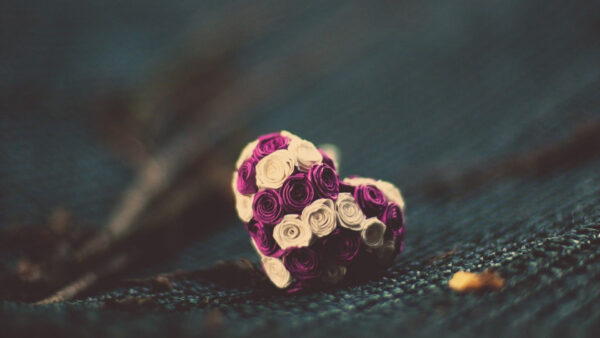 Wallpaper Blue, Love, Flowers, Purple, Rose, White, Cloth, Heart, Shape