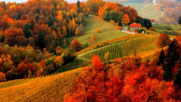 Wallpaper Nice, Slope, Autumn, Mountains, Trees, Scenery, Fall, Colorful, Beautiful