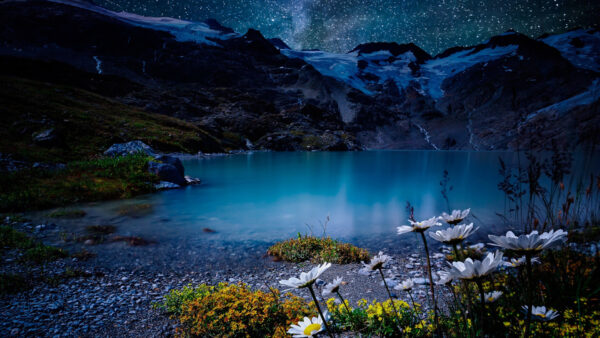 Wallpaper Rock, Landscape, Background, Sky, Mountains, White, Yellow, Lake, Beautiful, View, Flowers, Scenery, Starry