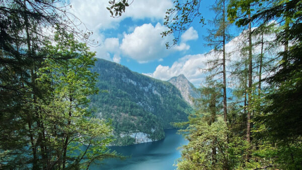 Wallpaper Mountains, View, Waterfall, Nature, Lake, Rock, Aerial, Trees