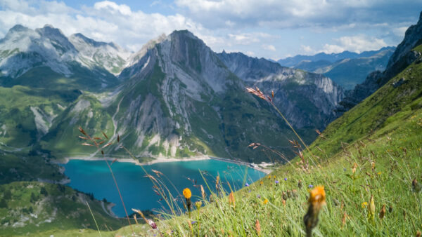 Wallpaper Nature, Rocks, Clouds, Flowers, Surrounded, Slope, Under, Mountains, Blue, White, Greenery, Sky, Lake, Purple, Yellow