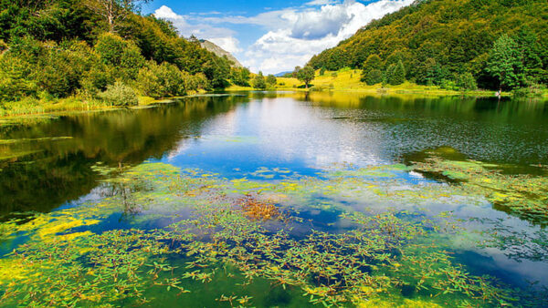 Wallpaper Fall, Water, Surrounded, Lake, White, Clouds, Autumn, Nature, Reflection, Trees, Blue, Background, Sky