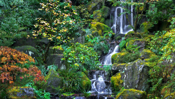 Wallpaper Rocks, Nature, Waterfall, Beautiful, Green, Covered, Scenery, Trees, Plants, Bushes, Algae