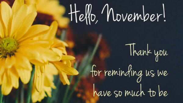 Wallpaper Hello, Much, Reminding, For, Have, You, Thank, Grateful, November