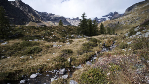 Wallpaper View, Trees, Bushes, Water, Stream, Nature, Mountains, Valley, Landscape, Desktop, Stones, Mobile