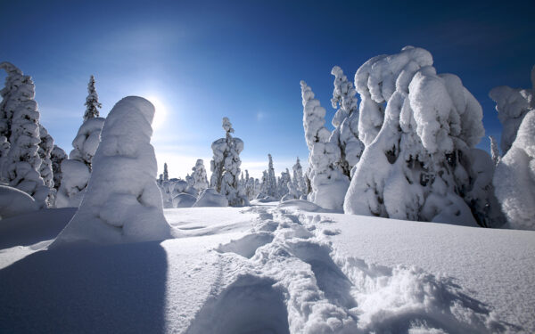 Wallpaper Winter, Finland