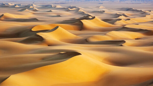 Wallpaper White, Egypt, Dunes, Sunrise, Sand, Desert