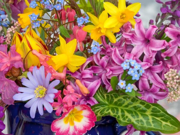 Wallpaper Flowers, Spring, Garden, From