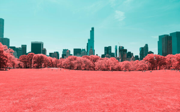 Wallpaper Park, Infrared, NYC, Central