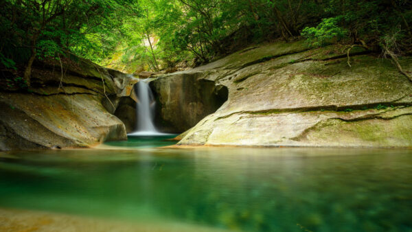 Wallpaper Trees, Water, Stone, Cliff, Waterfall, 4k, Forest