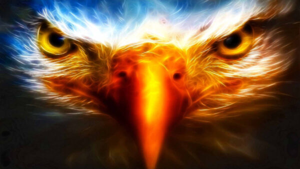 Wallpaper Eagle, Fantasy