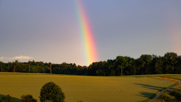 Wallpaper Desktop, Landscape, 4k, Monitor, Rainbow, Pc, Free, Android, Dual, Images, Download, Phone, Nature, IPhone, Background, Wallpaper, Mobile, Cool