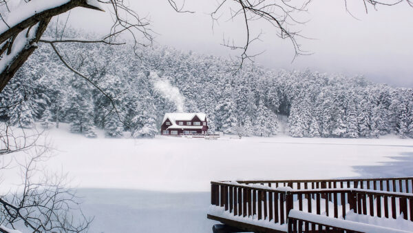 Wallpaper Lake, Forest, And, Turkey, Desktop, Travel, Gölcük, House, Covered, Snow