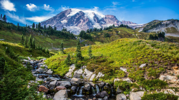 Wallpaper Field, Stones, Mountains, Snow, Hills, Mobile, Plants, Covered, Nature, Water, Desktop, Green, Trees, View, Landscape, Bushes, Grass, Stream