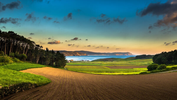 Wallpaper Field, Nature, River, Green, Farm, Grass, Landscape, Sand, Mountains, Scenery, Forest, View, Trees