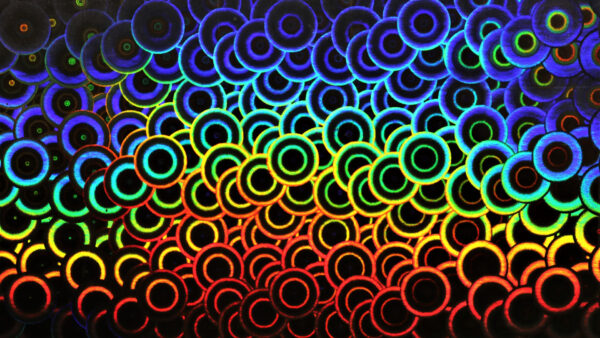 Wallpaper Neon, Abstraction, Colorful, Abstract, Circles