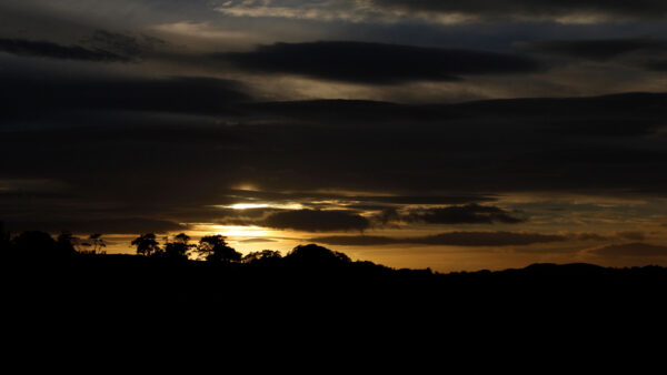 Wallpaper Desktop, Sky, Sunset, Clouds, Nature, Mobile, Background, During, Trees, Black, Under, Silhouette