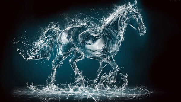 Wallpaper Image, Transparent, Water, Blue, Background, Splash, Horse