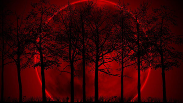 Wallpaper Night, Red, Moon, Desktop, Trees, Fantasy, Black, Full