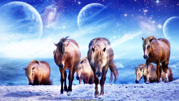 Wallpaper Planets, Horses, With, Horse, And, Desktop, Background, Brown, Stars