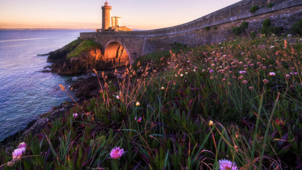 Wallpaper Coast, View, Nature, Mobile, Pink, Ocean, Flowers, Yellow, Desktop, Closeup, Bushes, Lighthouse, And, Landscape, Grass, Stones