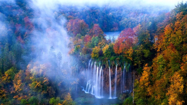 Wallpaper River, Pouring, Fall, Red, With, Green, View, Fog, Yellow, Autumn, Waterfalls, Aerial, Trees, Surrounded