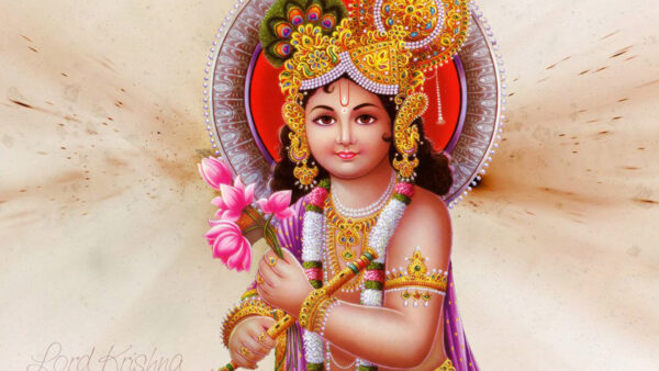 Wallpaper Lord, God, Flowers, Krishna, Flute, Pink