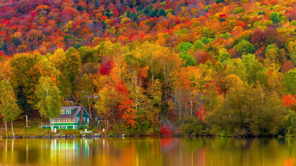 Wallpaper Autumn, Lake, Trees, Slope, Reflection, Scenery, Green, Forest, House, Beautiful