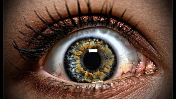 Wallpaper Eye, Yellow, Makeup, Pupil, Evil, Black