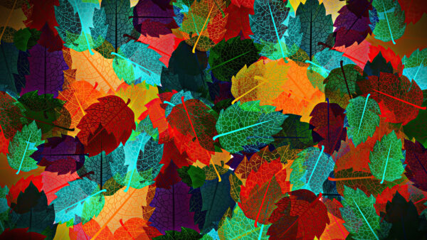 Wallpaper Abstract, Mobile, Autumn, Desktop, Leaves