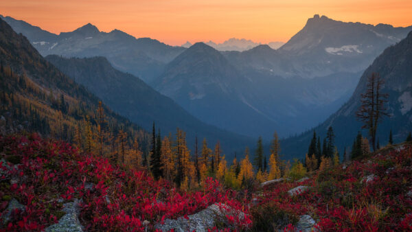 Wallpaper Fall, Mountain, Forest, During, Sunset, Desktop, Nature, Alps