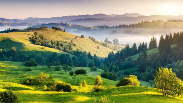 Wallpaper Desktop, Morning, Mobile, Hills, Nature, Covered, Trees, During, Field, Green, With, Mist, And, Time, Mountains