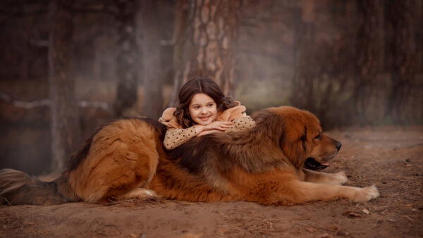 Wallpaper Girl, Desktop, Mastiff, Little, Cute, Tibetan, Smiley, Leaning