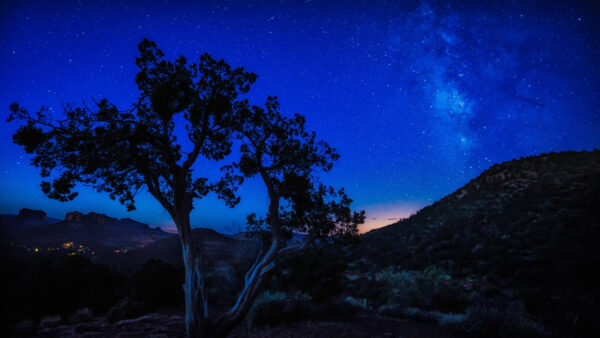 Wallpaper And, With, Sky, Stars, Desktop, Under, Space, Mobile, Blue, Mountain, Tree