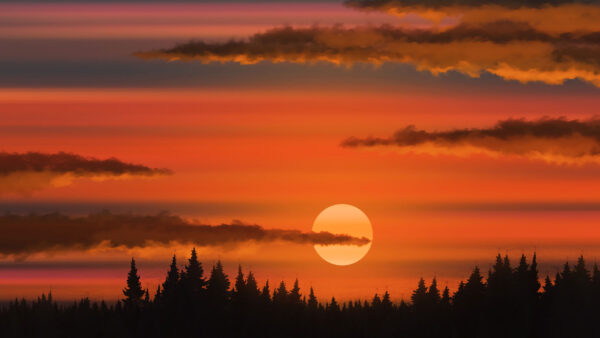 Wallpaper Sunset, Under, Yellow, Forest, Black, Clouds, Desktop, Trees, Nature, Sky, During, Mobile