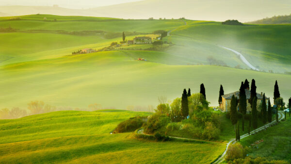 Wallpaper House, Grass, Scenery, Green, Aerial, Nature, Slope, View, Path, Trees, Fog