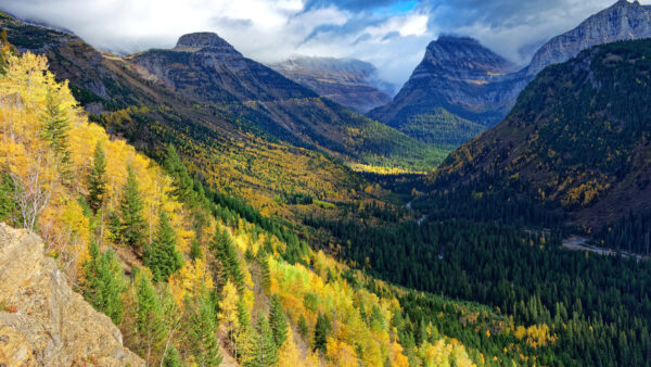 Wallpaper White, Under, Desktop, Mountains, Autumn, Fall, Fog, Slope, With, Mobile, Green, Nature, Clouds, Sky, Blue, Trees, Yellow