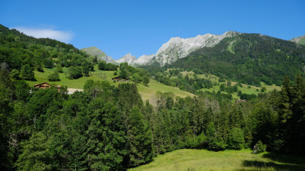 Wallpaper Slope, Trees, Grass, Plants, Background, Blue, Nature, Mobile, Hills, Desktop, Green, Bushes, Mountains, Sky