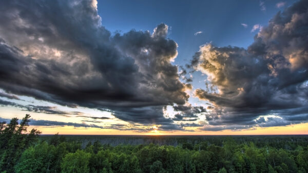 Wallpaper Green, Trees, Sky, Under, Clouds, Nature, With