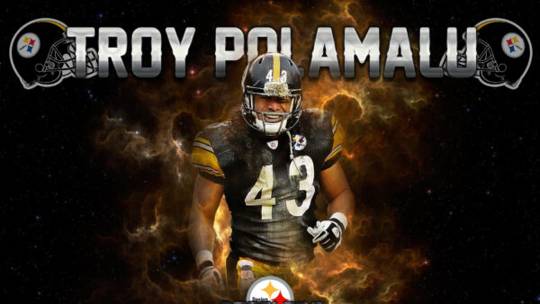 Wallpaper Troy, Steelers, Desktop, Polamalu