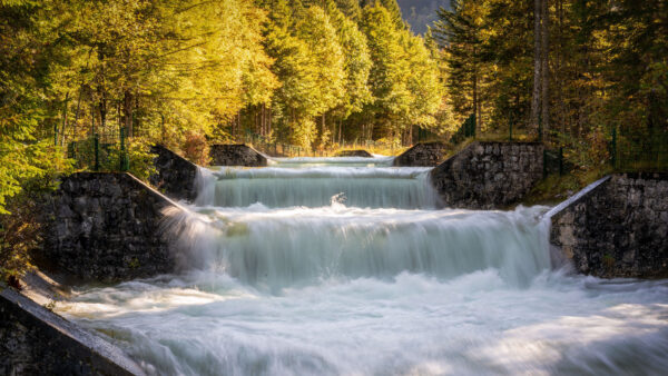 Wallpaper Green, Mobile, Stream, Nature, Background, Forest, Waterfalls, Desktop, Stones, Sunlight, Trees