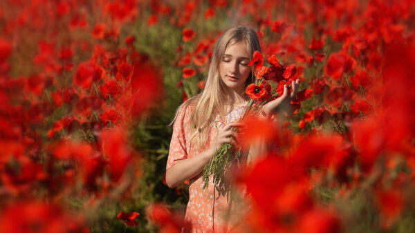 Wallpaper Flowers, Wearing, Common, Poppy, Red, Girls, Orange, Model, Background, Dress, Standing, Blur, Girl, Field