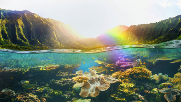 Wallpaper Beautiful, Nature, Mountains, Colorful, Coral, Sunrays, Underwater, Greenery, Reefs, Fishes