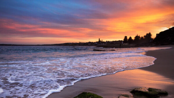 Wallpaper Waves, During, Sunset, Buildings, Sand, Nature, Beach, Covered, Algae, Stones, Trees, Ocean